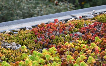 the cost of Skeabrae green roof installation
