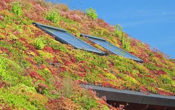 Skeabrae living roof systems