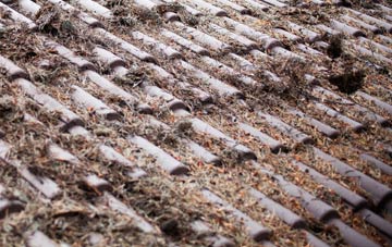 Skeabrae roof cleaning companies