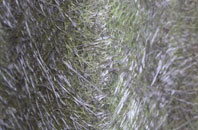 Skeabrae fibreglass roof work